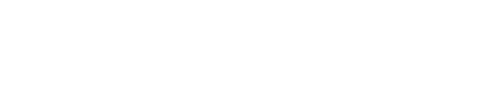 Logo esteso bianco_LTVV 2