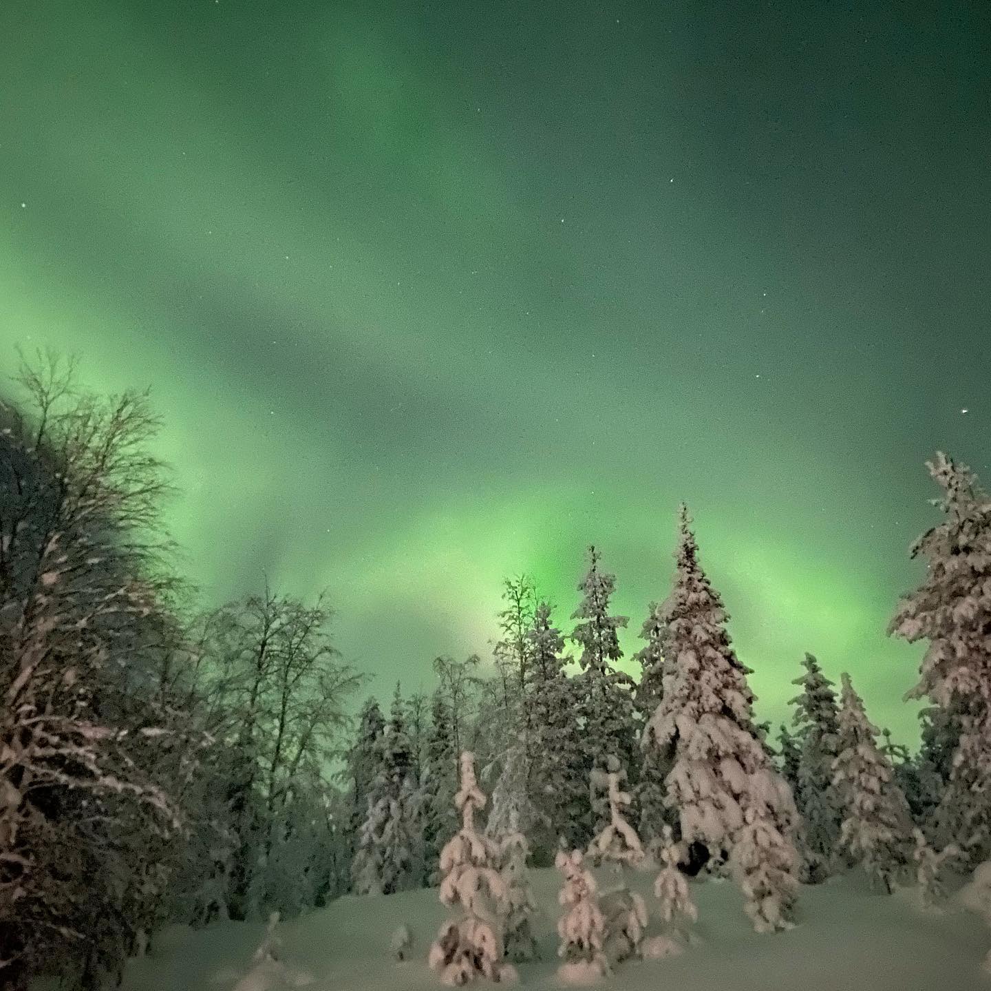 aurora boreale-min aurora boreale-min