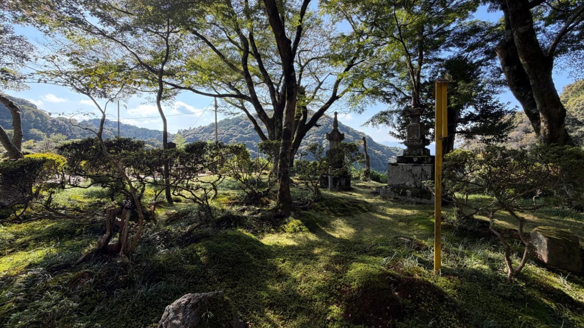 Progetto senza titolo (1)