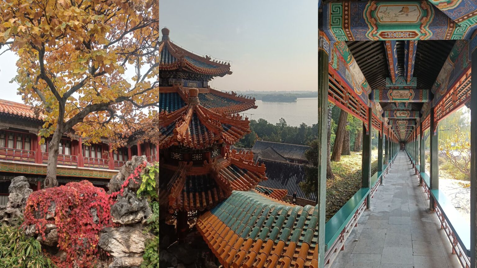 Progetto senza titolo (1)