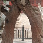 WhatsApp Image 2025-11-21 at 08.22.58