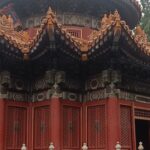 WhatsApp Image 2025-11-21 at 08.22.59