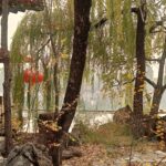 WhatsApp Image 2025-11-21 at 08.23.05