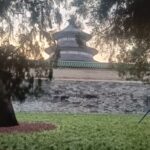 WhatsApp Image 2025-11-21 at 08.23.05 (3)