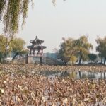 WhatsApp Image 2025-11-21 at 08.23.07 (1)