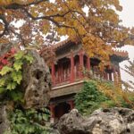 WhatsApp Image 2025-11-21 at 08.23.12