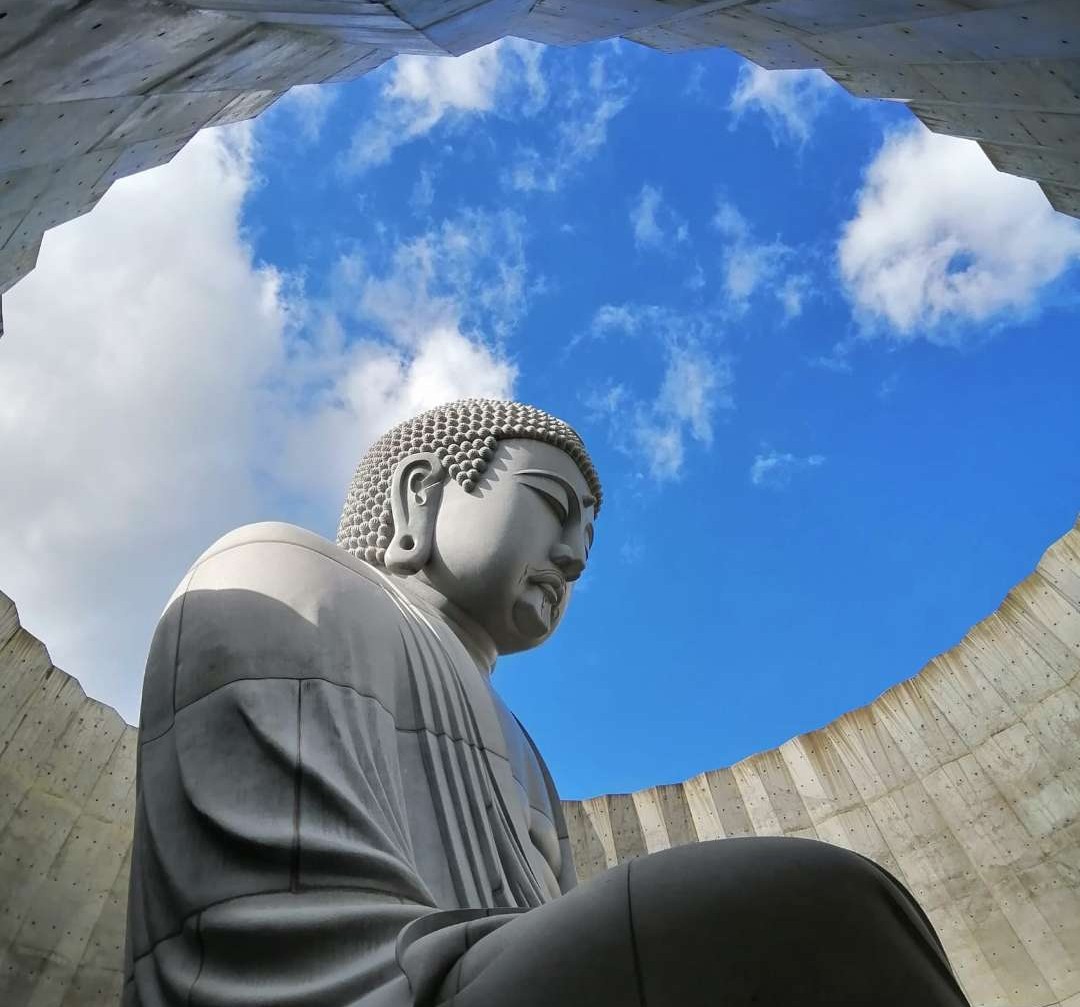 Copertina La grande via del nord